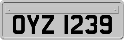 OYZ1239