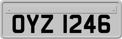 OYZ1246