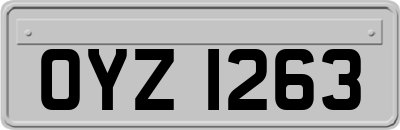 OYZ1263