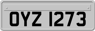 OYZ1273