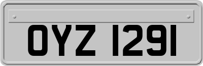 OYZ1291