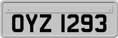 OYZ1293