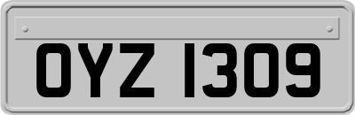 OYZ1309