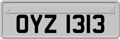 OYZ1313