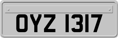 OYZ1317