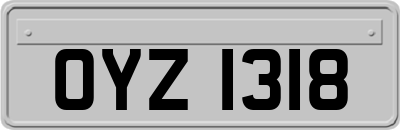 OYZ1318