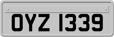 OYZ1339