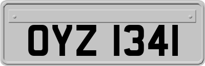 OYZ1341