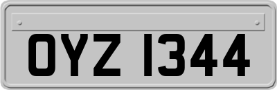OYZ1344