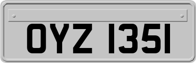 OYZ1351