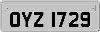 OYZ1729