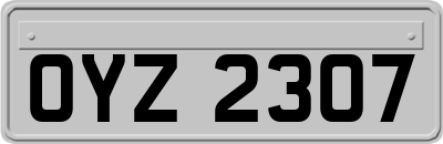 OYZ2307