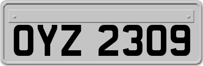 OYZ2309