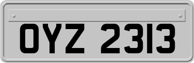 OYZ2313