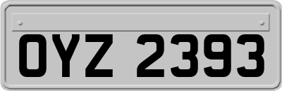 OYZ2393