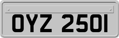 OYZ2501