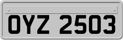 OYZ2503