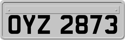 OYZ2873