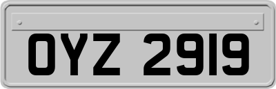 OYZ2919