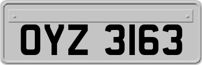OYZ3163