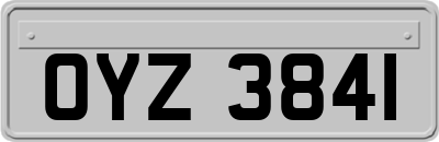 OYZ3841