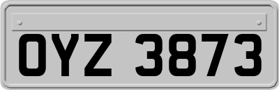 OYZ3873