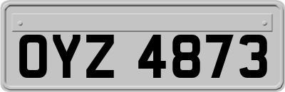 OYZ4873