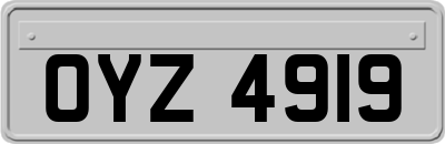 OYZ4919