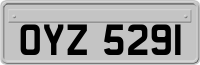 OYZ5291