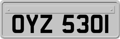 OYZ5301