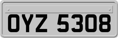OYZ5308
