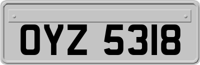 OYZ5318