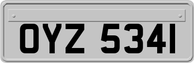 OYZ5341
