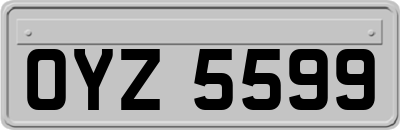 OYZ5599