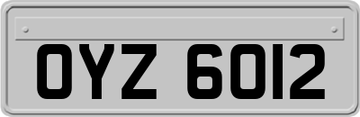OYZ6012