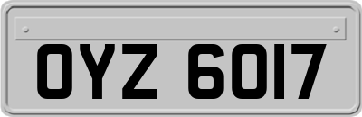 OYZ6017