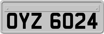 OYZ6024