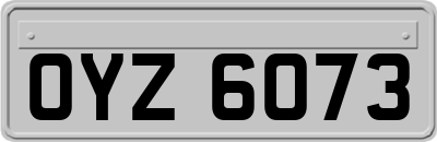 OYZ6073