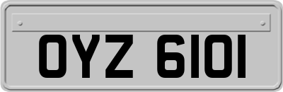 OYZ6101