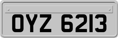 OYZ6213