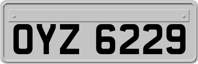 OYZ6229