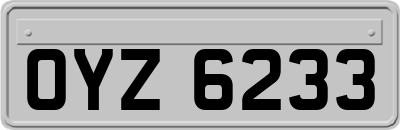 OYZ6233