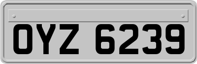OYZ6239