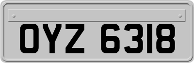 OYZ6318