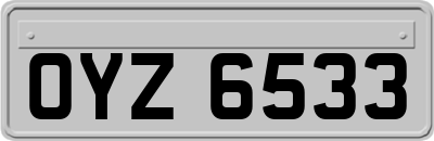 OYZ6533