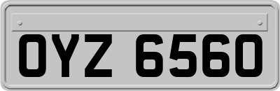 OYZ6560