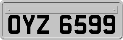 OYZ6599
