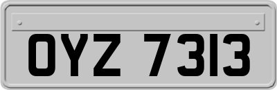 OYZ7313