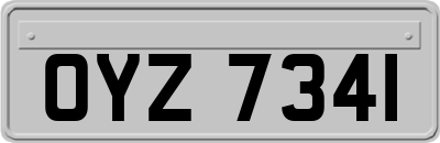 OYZ7341