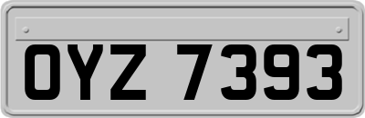 OYZ7393